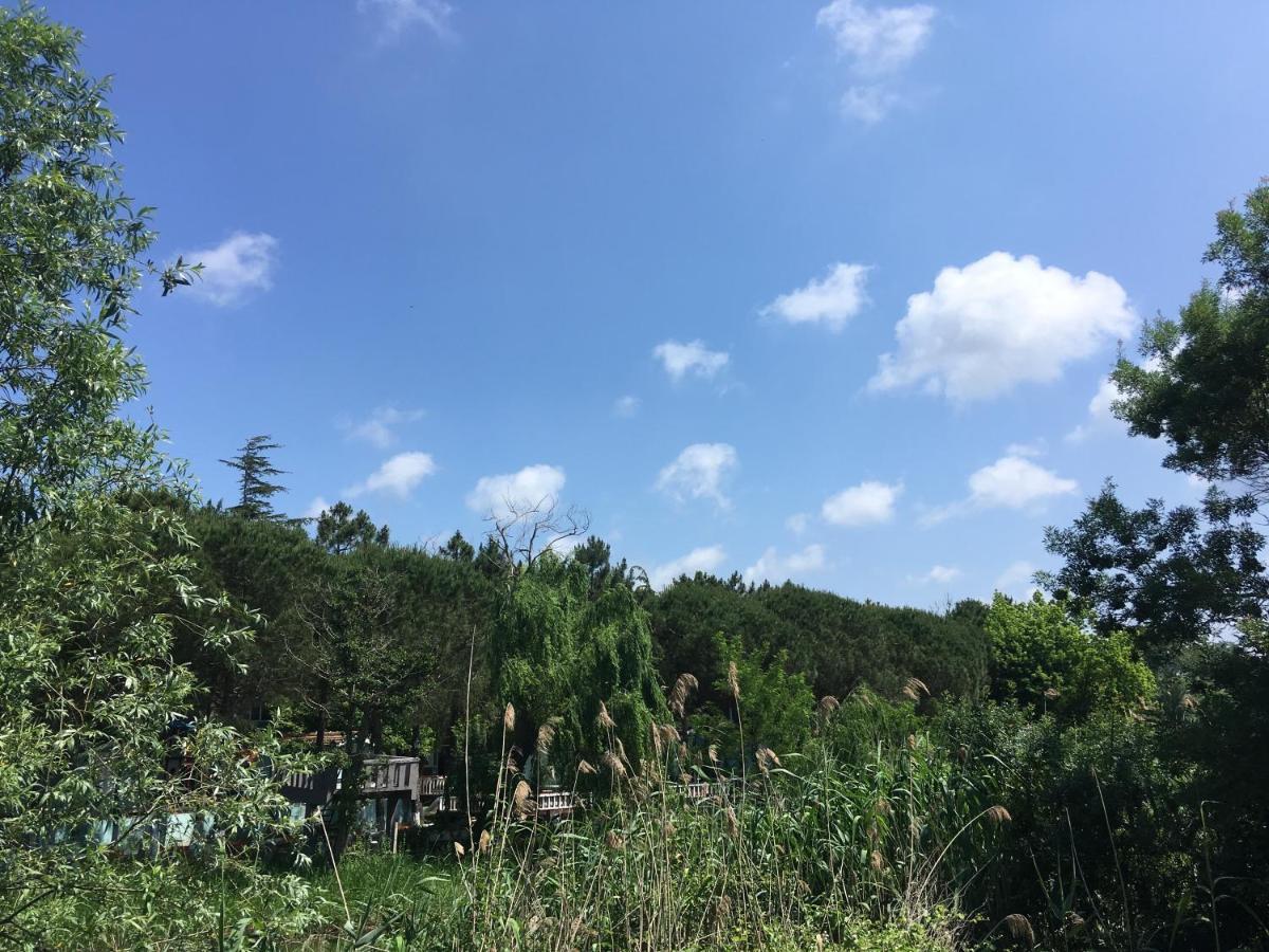 Shila Doert Mevsim Tatil Koyu Hotel Ağva Exterior foto