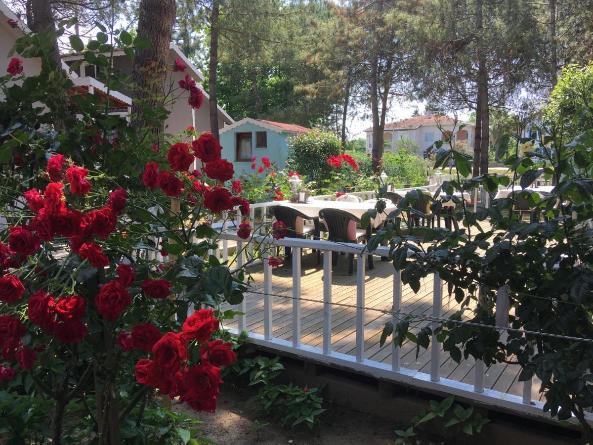 Shila Doert Mevsim Tatil Koyu Hotel Ağva Exterior foto